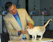 Judge at Cat Show